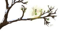 Spirit of Spring